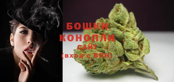 индика Нягань