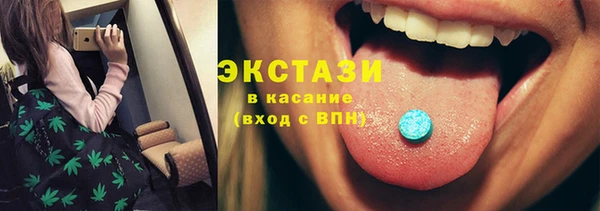 индика Нягань