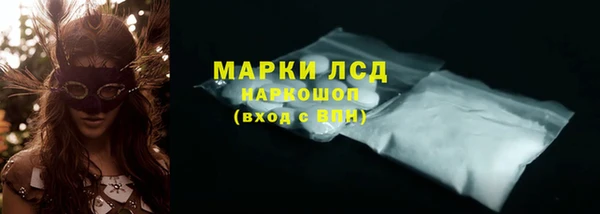индика Нягань