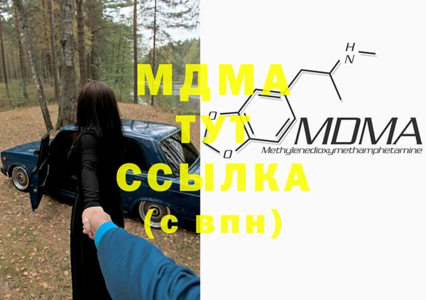 индика Нягань