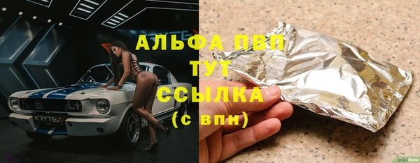 индика Нягань
