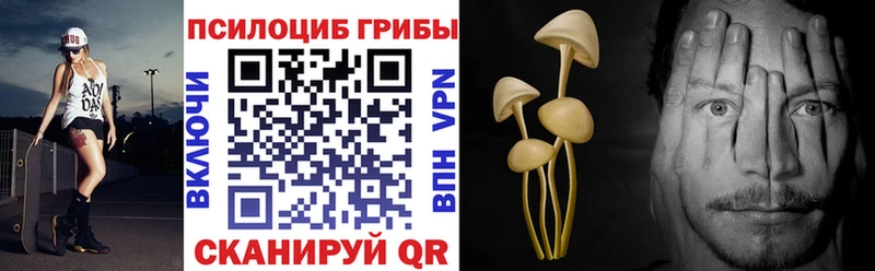 Галлюциногенные грибы MAGIC MUSHROOMS  hydra ССЫЛКА  даркнет официальный сайт  Кисловодск 