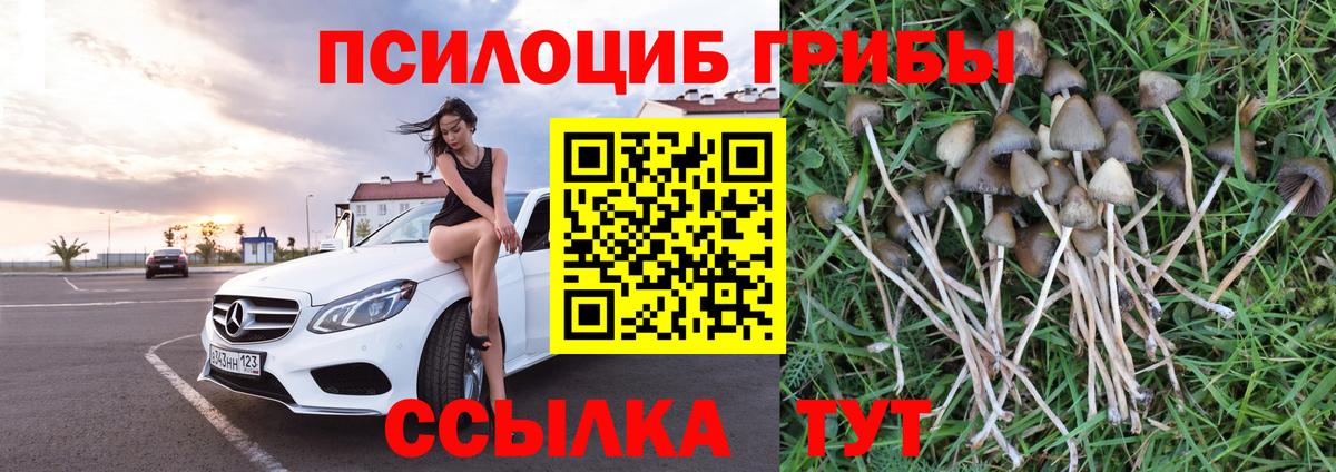 Кисловодск  Галлюциногенные грибы GOLDEN TEACHER  Вход с VPN 